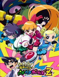 Demashita Powerpuff Girls Z Dub