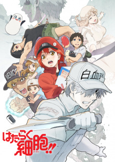 Hataraku Saibou 2 Dub