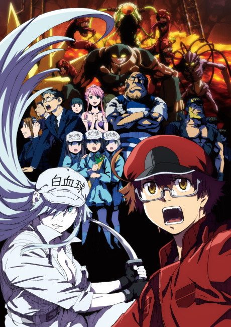 Hataraku Saibou Black Tv