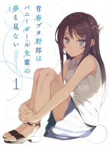 Seishun Buta Yarou Wa Bunny Girl Senpai No Yume Wo Minai Picture Drama