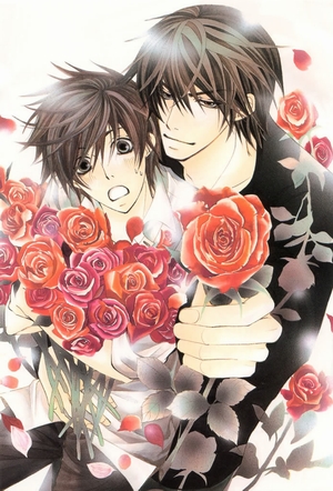 Sekai Ichi Hatsukoi - World's Greatest First Love